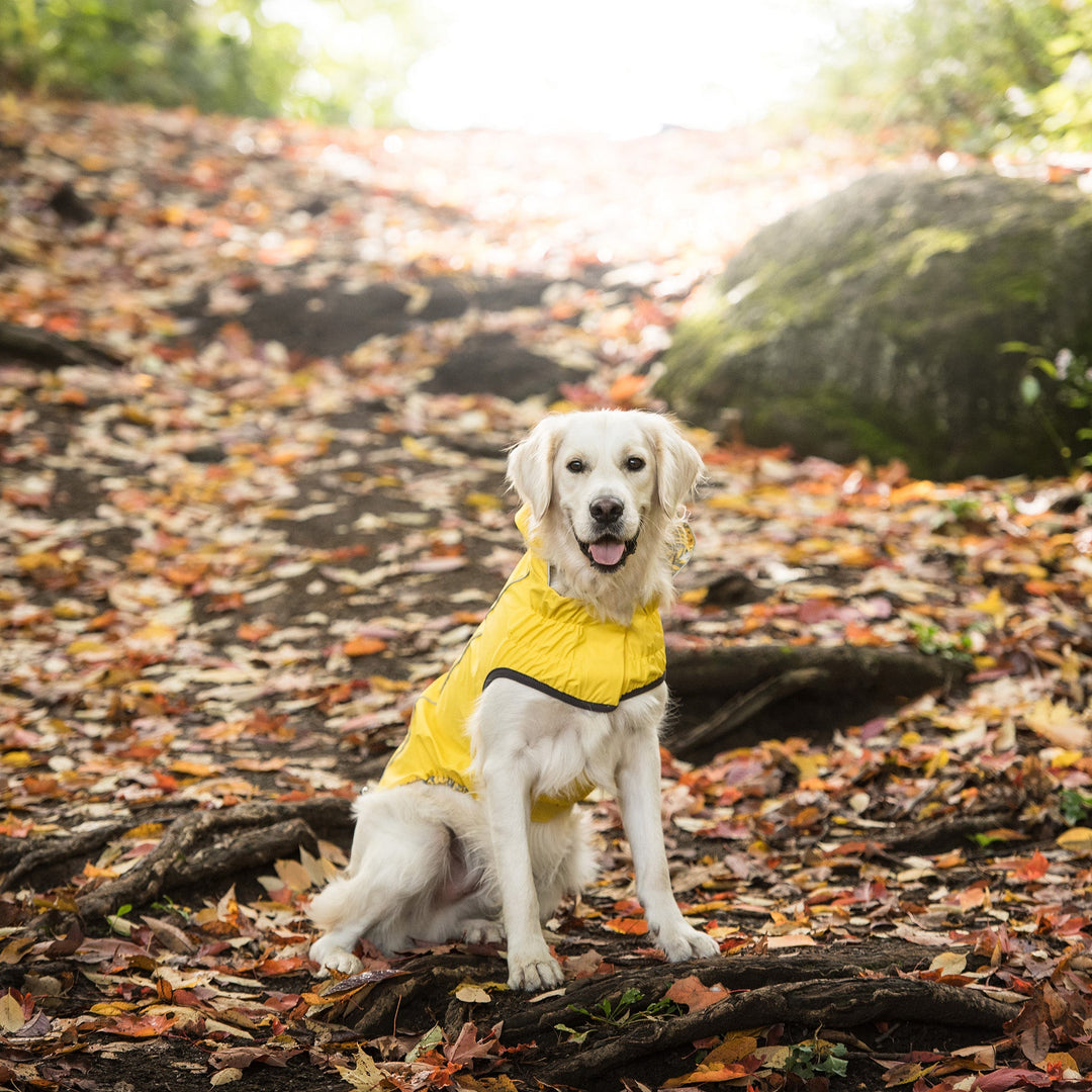 GF Pet Reversible Elasto-Fit Raincoat, Yellow
