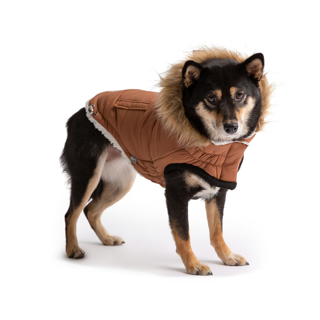 GF Pet Urban Parka, Caramel
