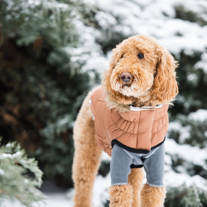 GF Pet Urban Parka, Caramel