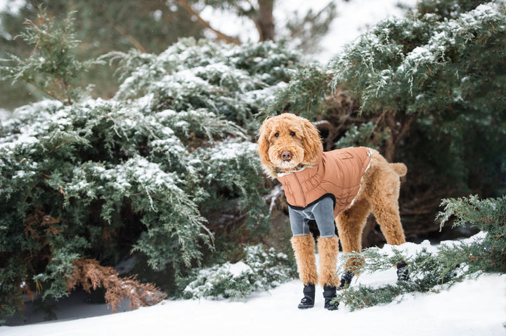 GF Pet Urban Parka, Caramel