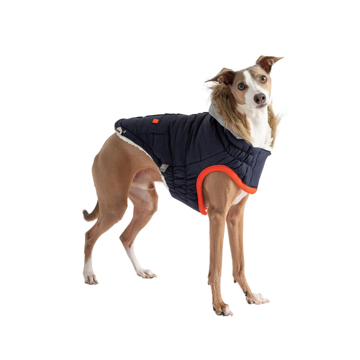 GF Pet Winter Sailor Parka, Navy