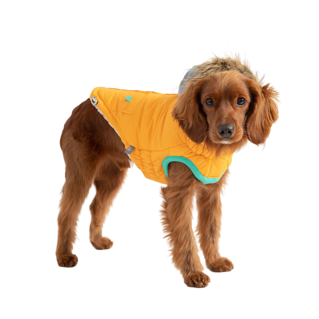 GF Pet Winter Sailor Parka, Yellow
