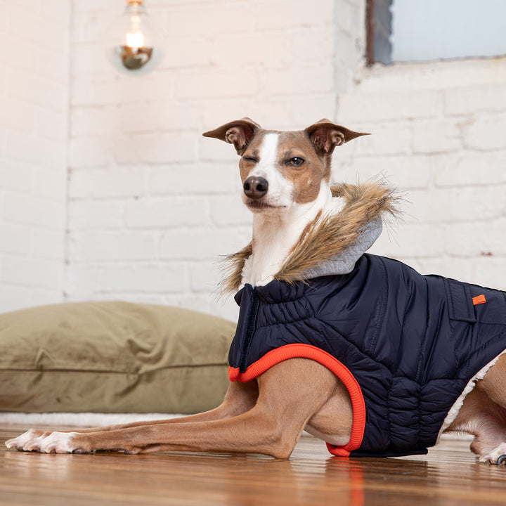 GF Pet Winter Sailor Parka, Navy