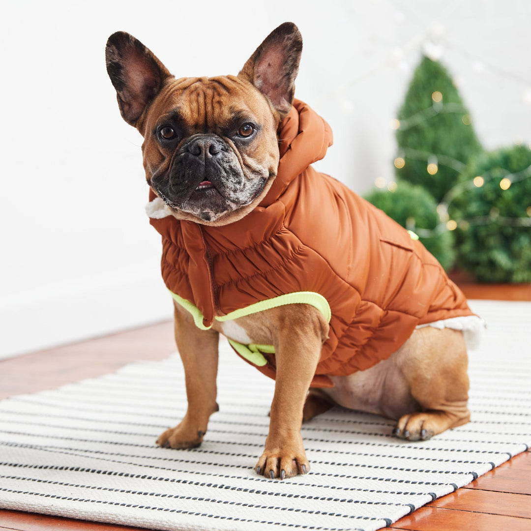GF Pet Puff Parka, Hazel