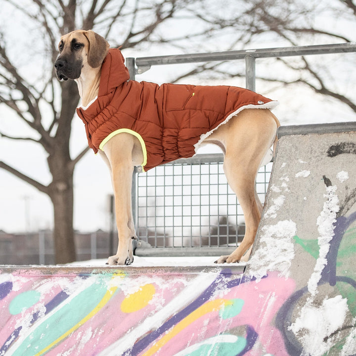 GF Pet Puff Parka, Hazel
