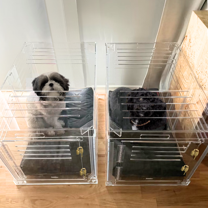 Hiddin Clear Acrylic Dog Crate – Large, Gold Latch