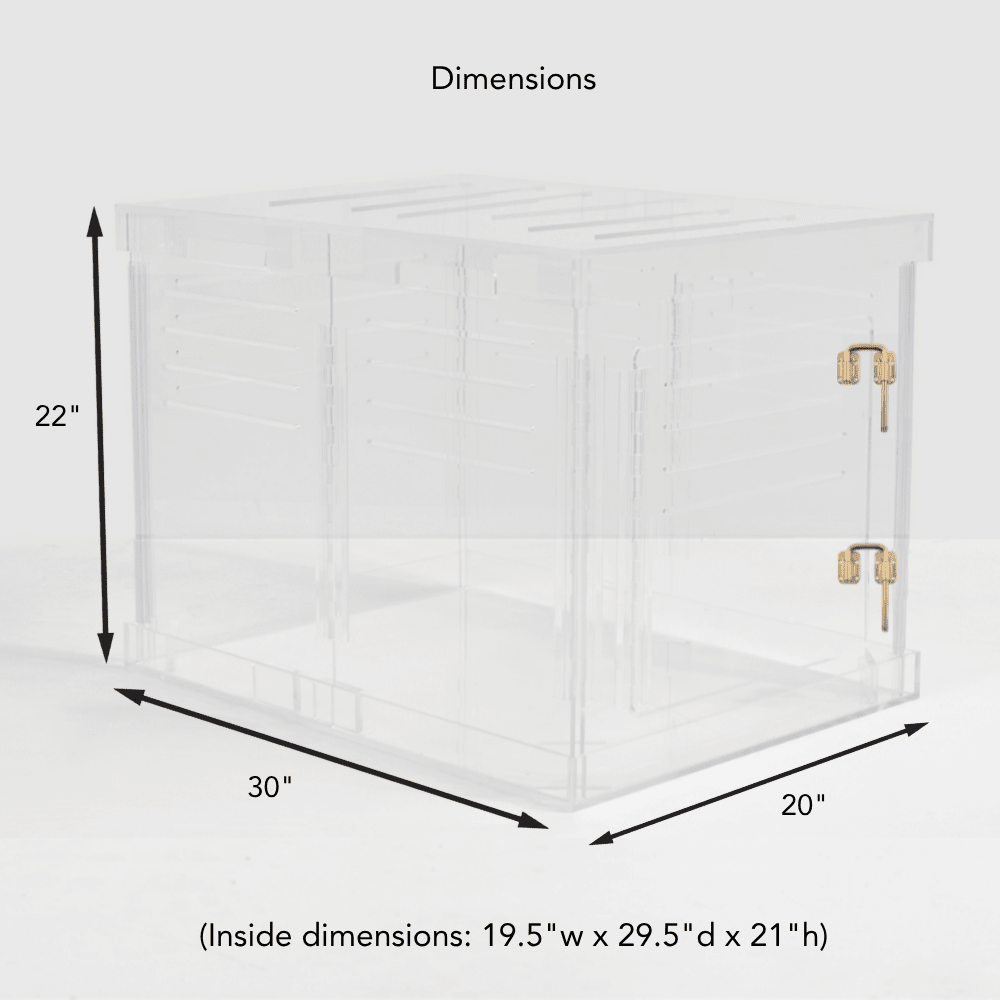 Hiddin Clear Acrylic Dog Crate – Medium, Gold Latch