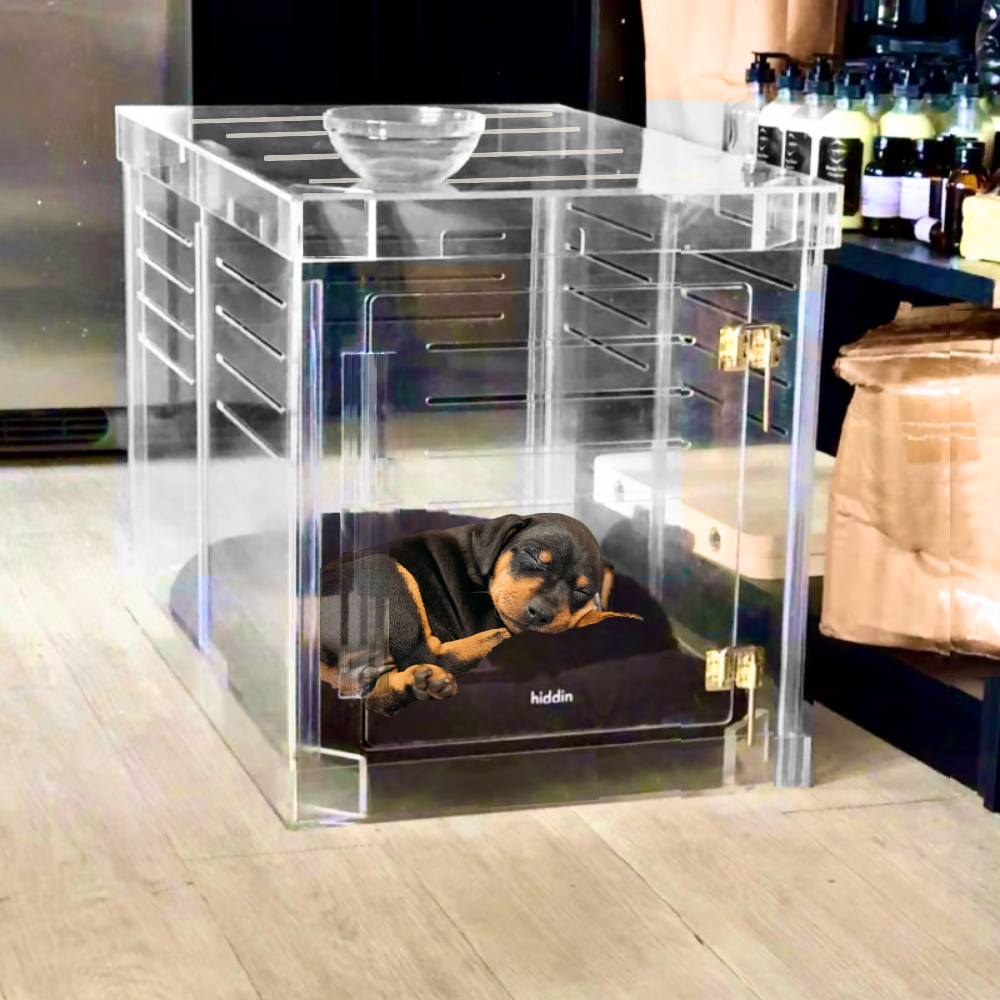 Hiddin Clear Acrylic Dog Crate – Medium, Gold Latch