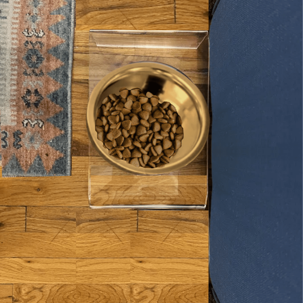 Hiddin Clear Acrylic Single Feeder with Gold Bowl – 5 in High
