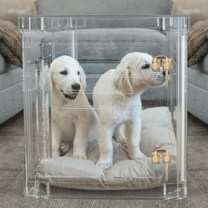 Hiddin Clear Acrylic Dog Crate – Medium, Gold Latch