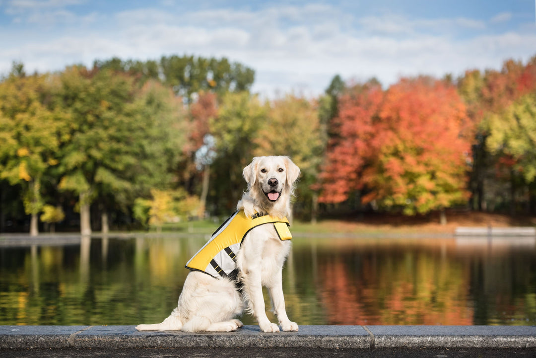 GF Pet Dog Life Jacket