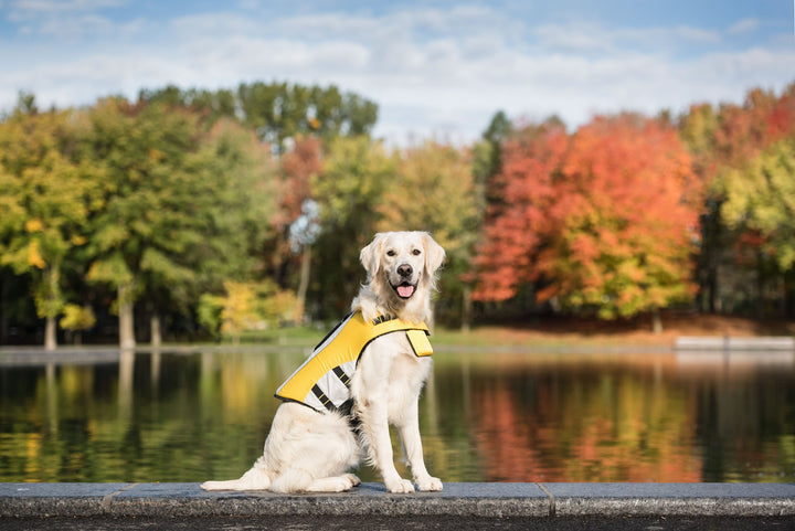 GF Pet Dog Life Jacket