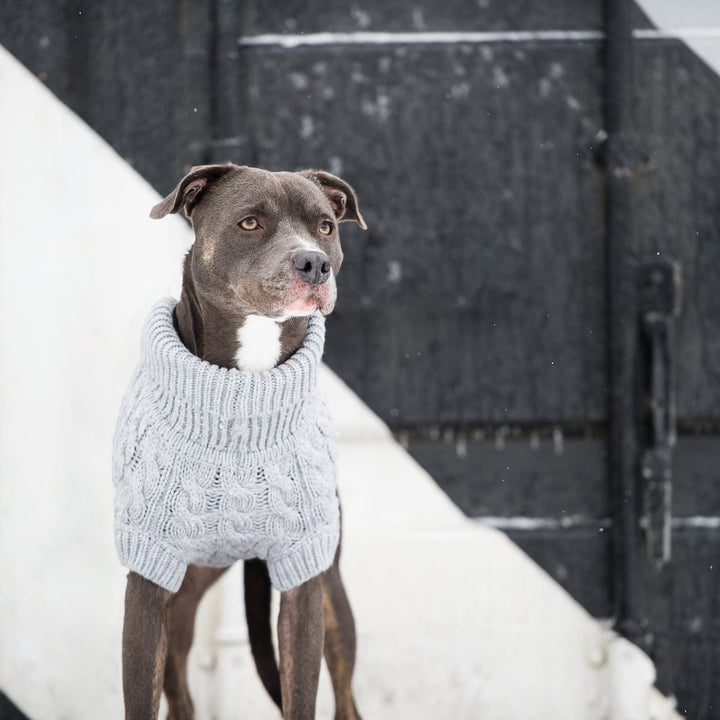 GF Pet Chalet Sweater, Grey