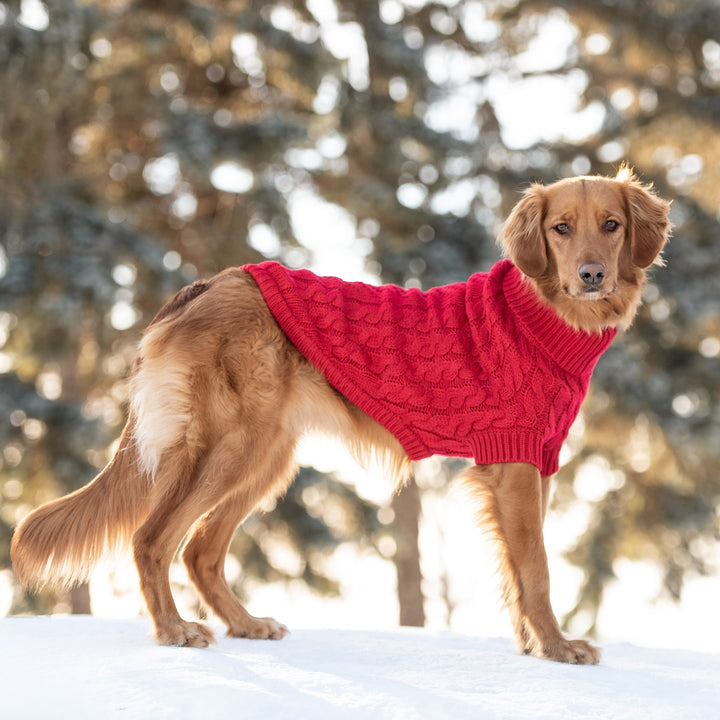 GF Pet Chalet Sweater, Red