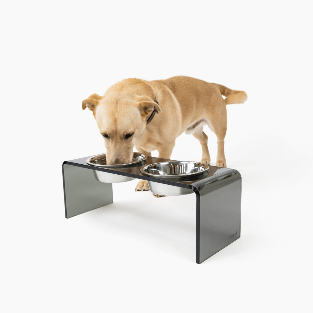 Hiddin Smoke Grey Acrylic Double Feeder – 7 in High