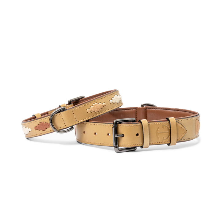 Halter Ego Gilded Solstice Leather Dog Collar