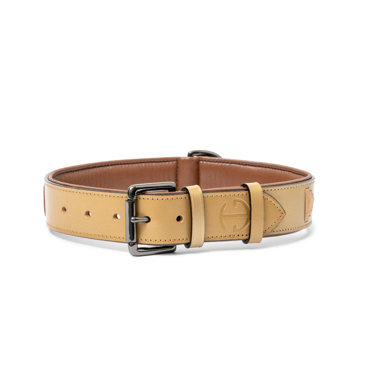 Halter Ego Gilded Solstice Leather Dog Collar