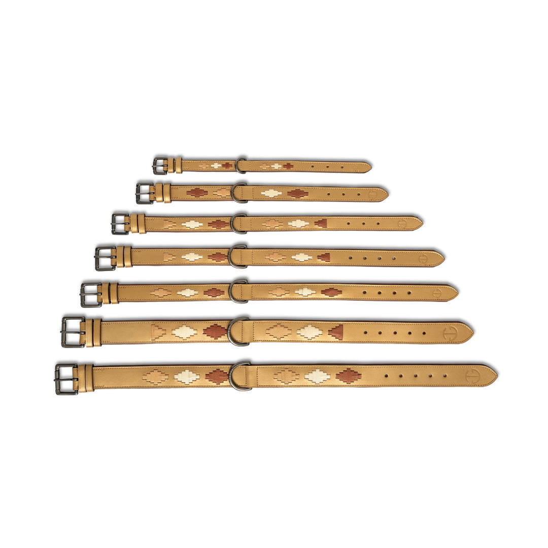 Halter Ego Gilded Solstice Leather Dog Collar shown in every size, XS to 3XL