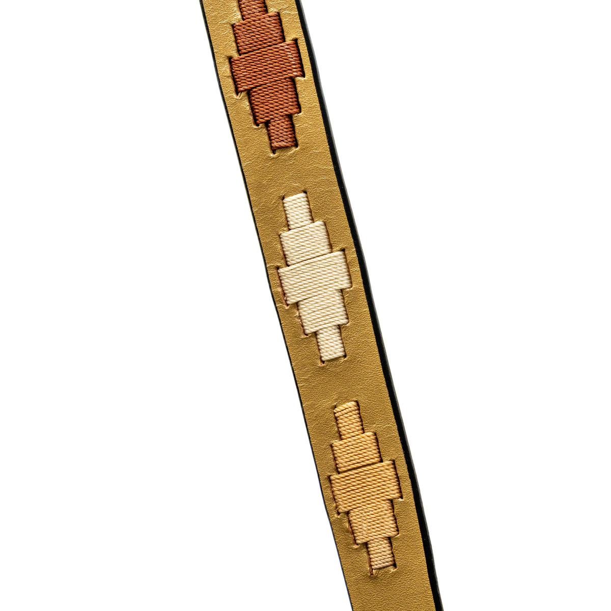 Halter Ego Gilded Solstice Leather Dog Leash, close-up of the leather detailing