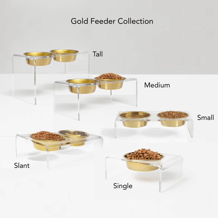 Hiddin Clear Acrylic Single Feeder with Gold Bowl – 5 in High