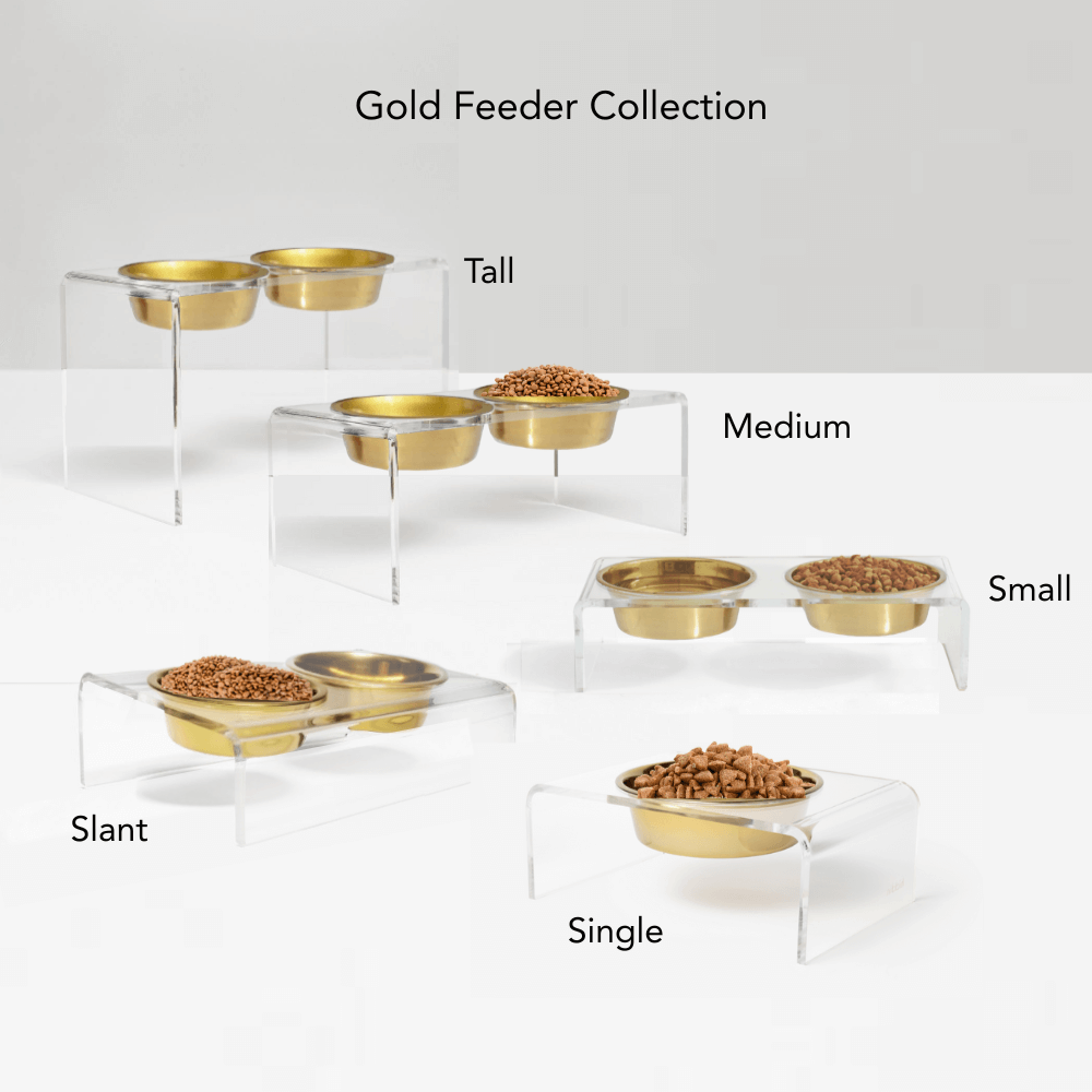 Hiddin Clear Acrylic Triple Feeder with Gold Bowls – 7 in High