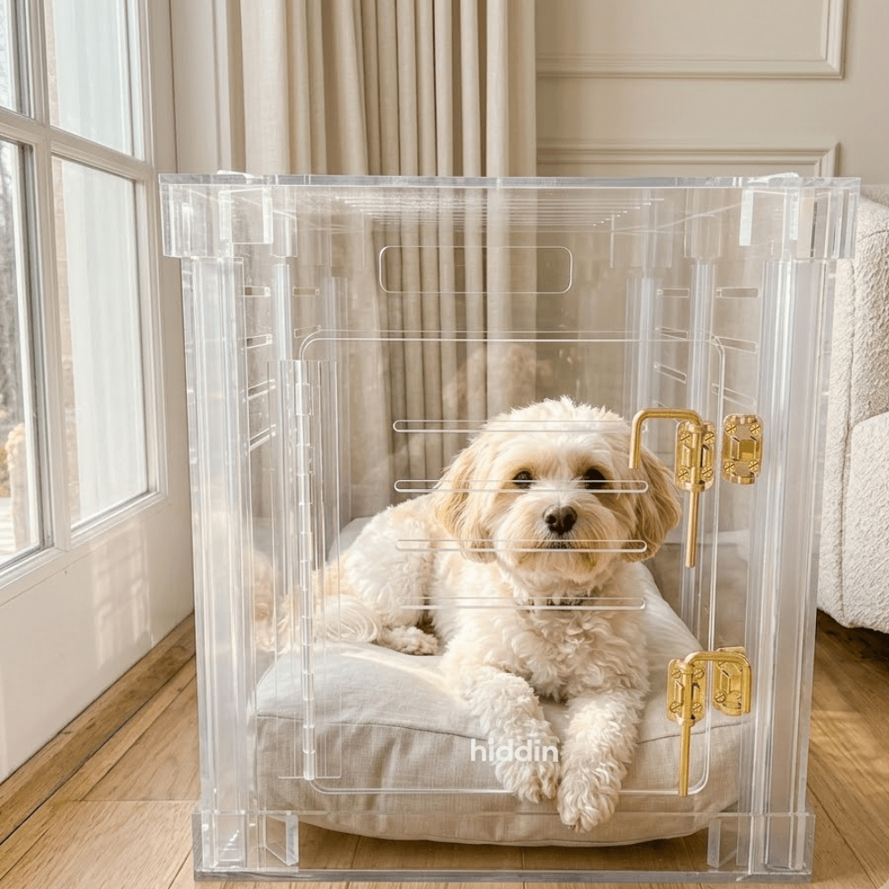 Hiddin Clear Acrylic Dog Crate – Small, Gold Latch