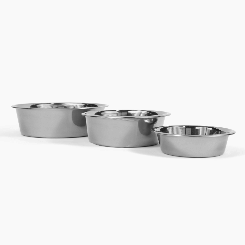 Hiddin Stainless Steel Pet Bowls – Set of 2
