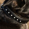 Bild in Galerie-Betrachter laden, Halter Ego Black Patent Leather Celebrity Dog Collar Crystal Rivets by Halter Ego®
