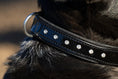 Bild in Galerie-Betrachter laden, Halter Ego Black Patent Leather Celebrity Dog Collar Crystal Rivets by Halter Ego®
