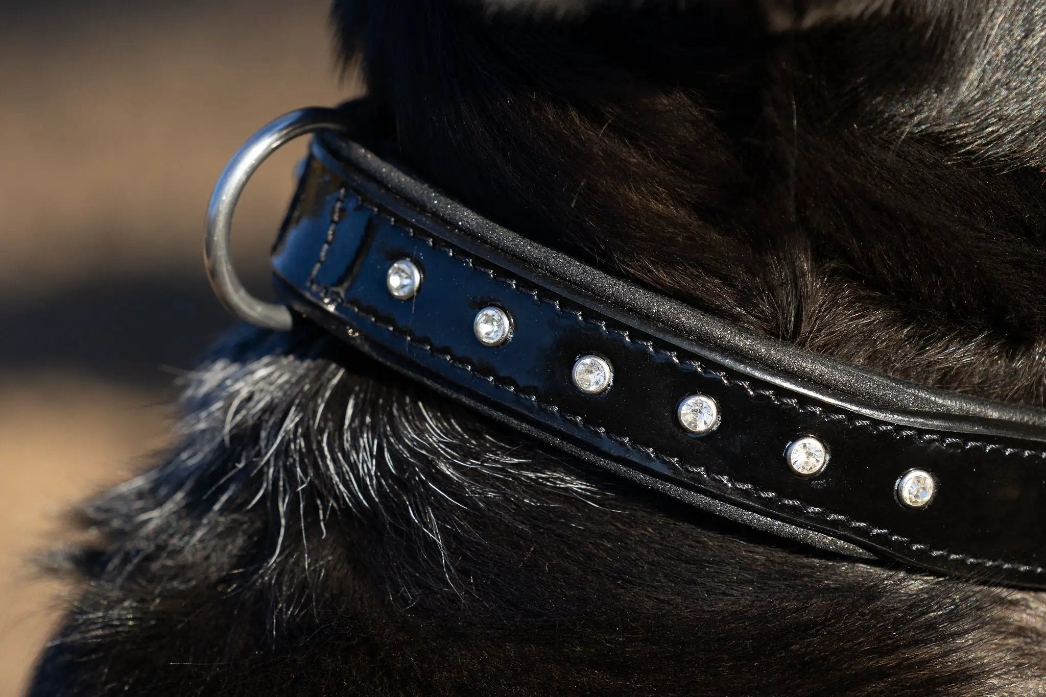 Halter Ego Black Patent Leather Celebrity Dog Collar Crystal Rivets by Halter Ego®
