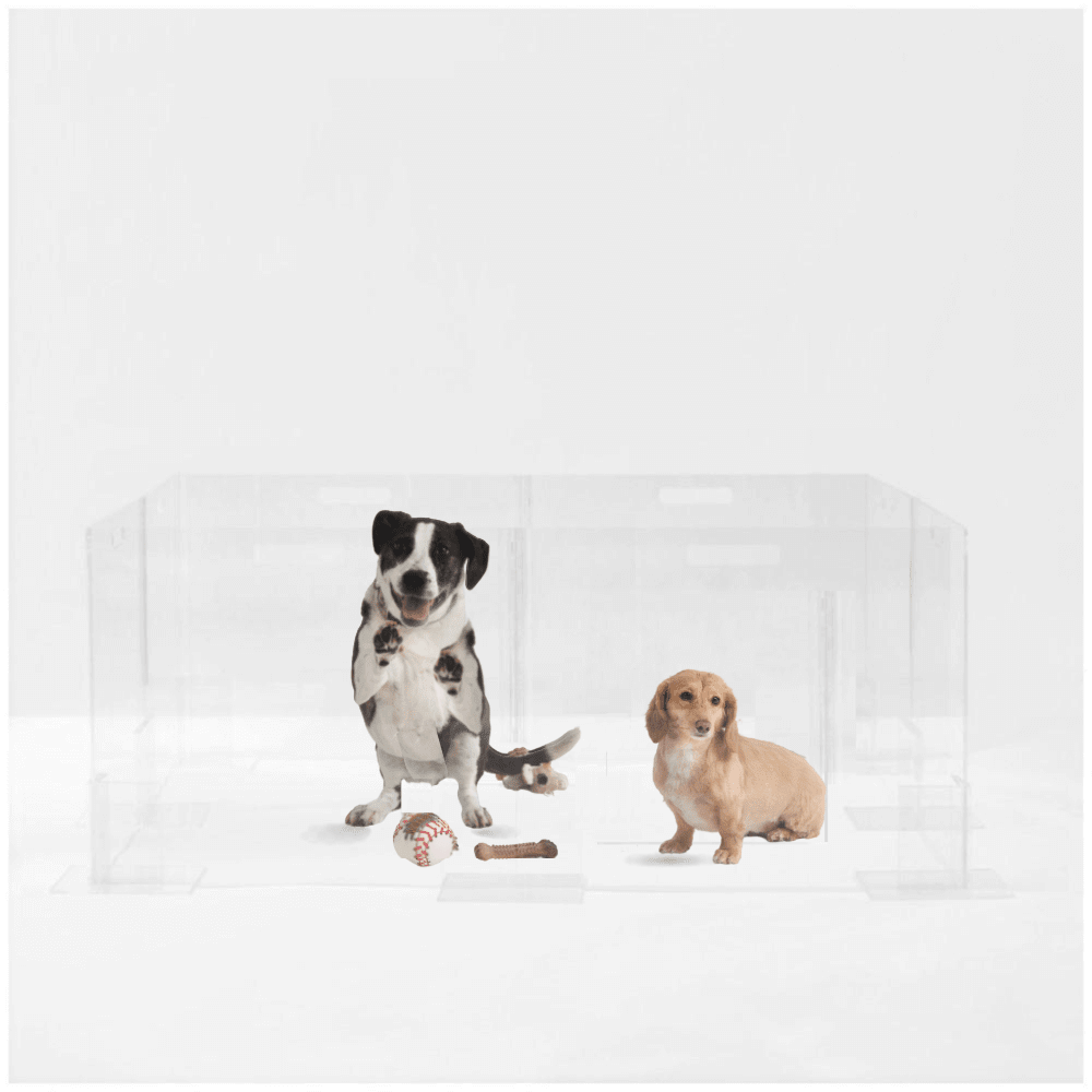 Hiddin Clear Acrylic Step-Over Pet Playpen – 24 in High