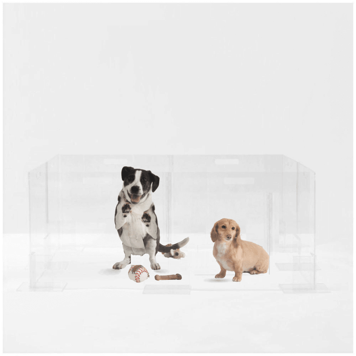 Hiddin Clear Acrylic Step-Over Pet Playpen – 24 in High