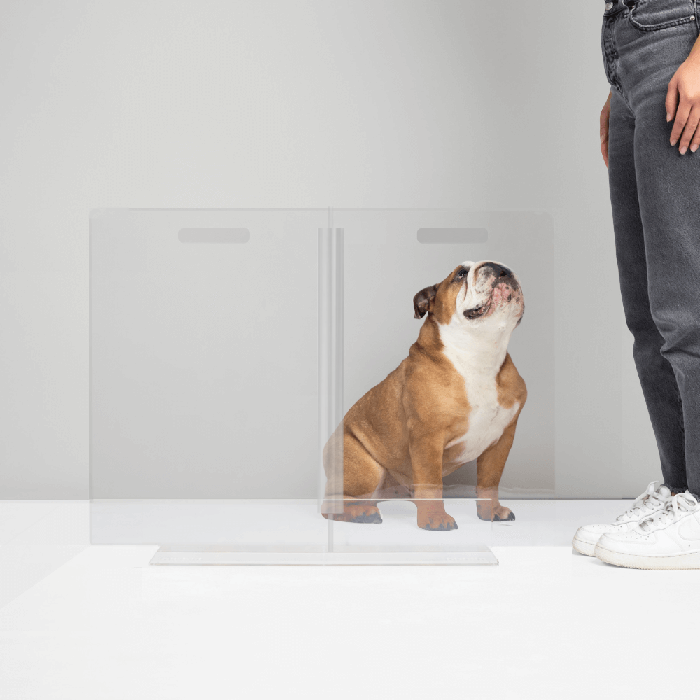 Hiddin Clear Acrylic Panel Pet Gate – Freestanding, 24 in High