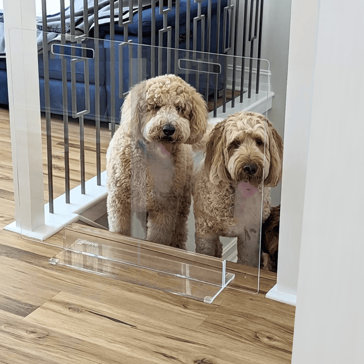 Hiddin Clear Acrylic Panel Pet Gate – Freestanding, 30 in High