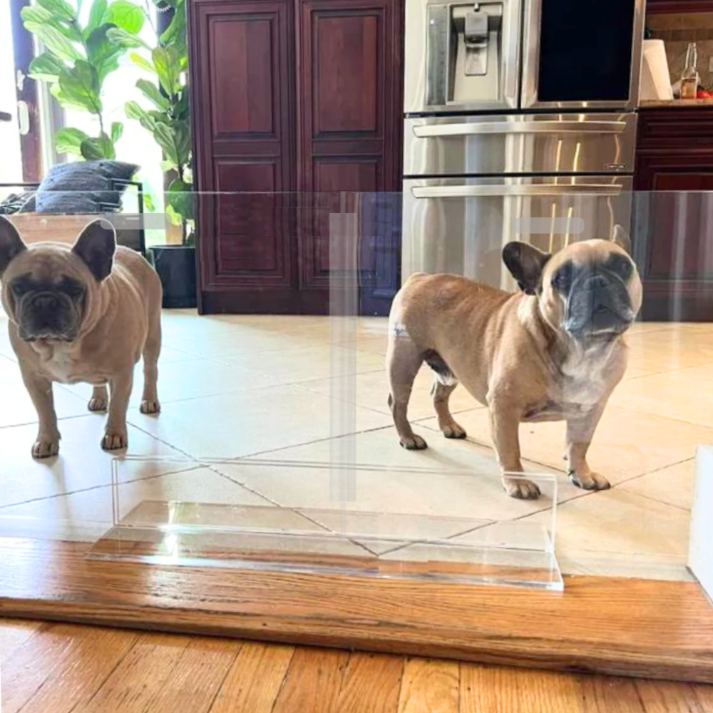 Hiddin Clear Acrylic Panel Pet Gate – Freestanding, 24 in High