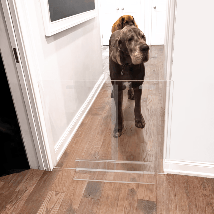 Hiddin Clear Acrylic Panel Pet Gate – Freestanding, 30 in High