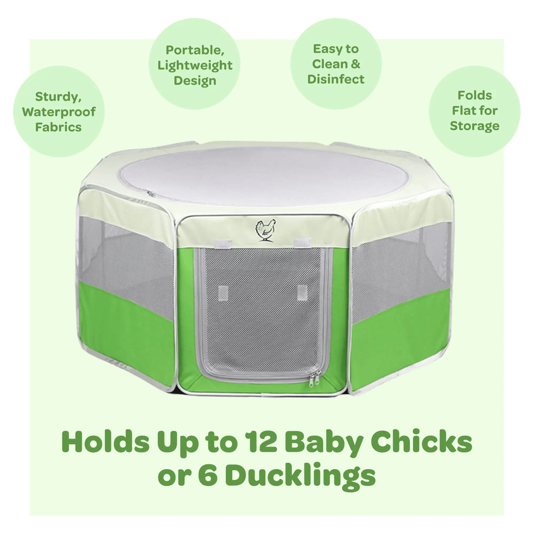 Hen Pen Deluxe Pop-Up Chick Brooder, portable green and beige baby chick habitat.
