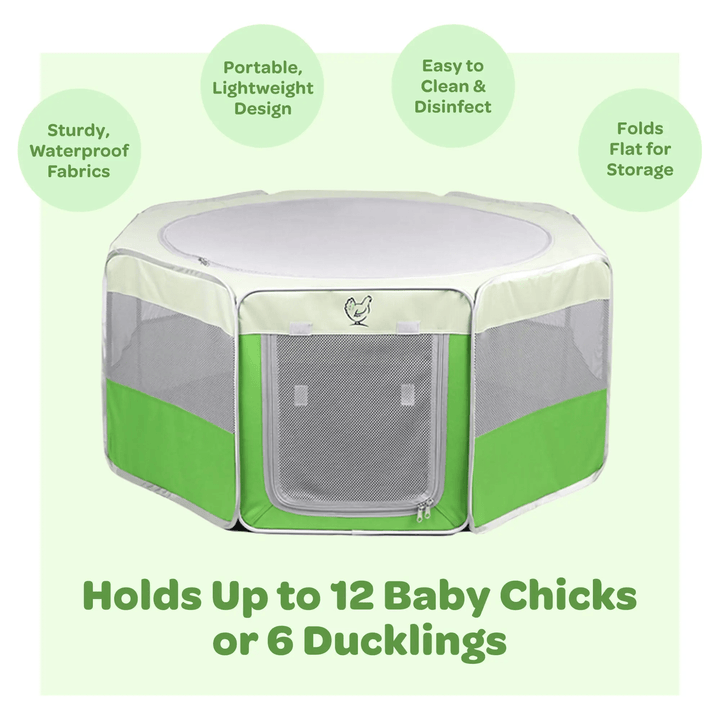 Hen Pen Deluxe Pop-Up Chick Brooder, portable green and beige baby chick habitat.