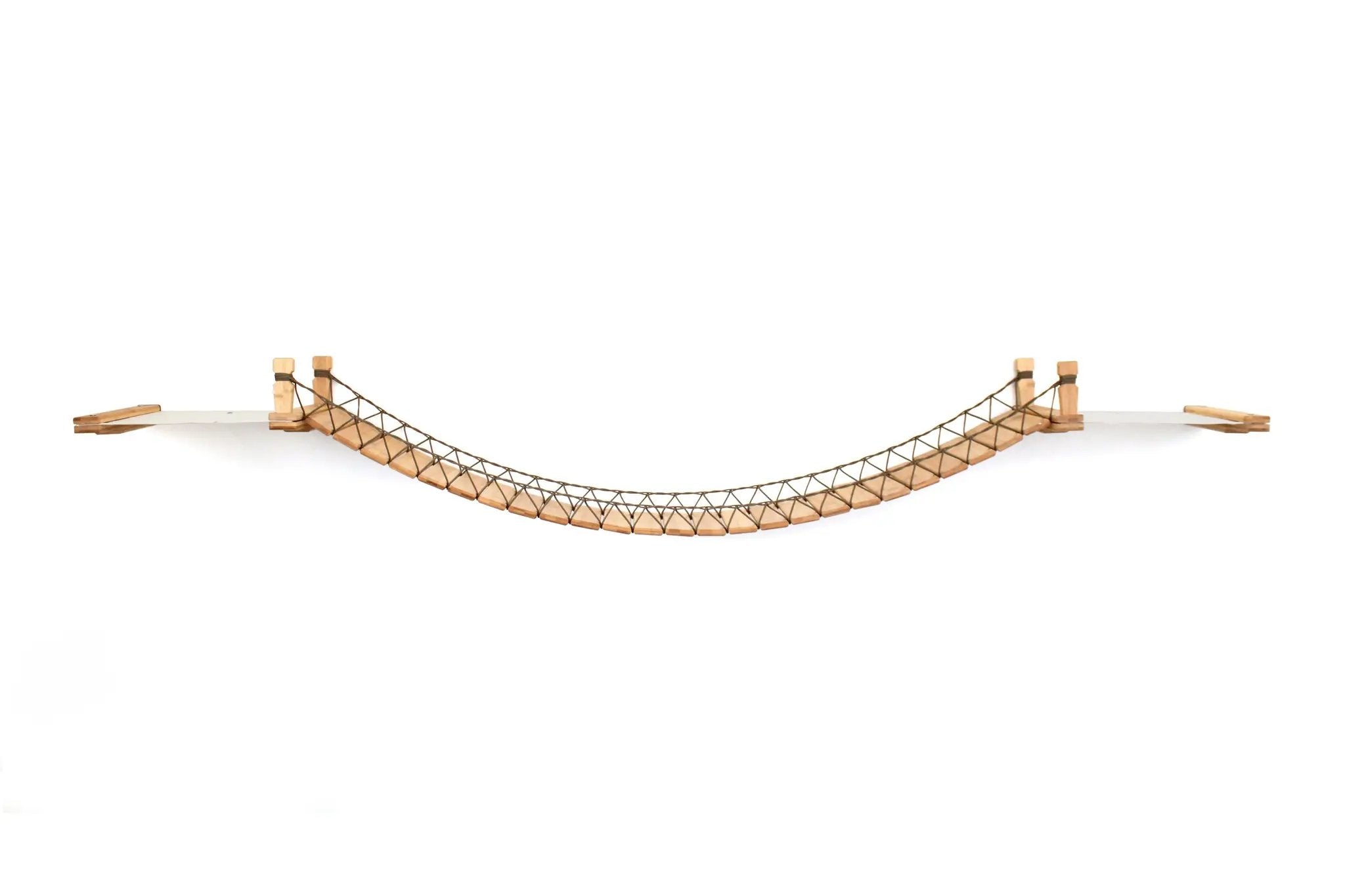Double Cat Hammock and Climbing Bridge Combo by Catastrophic Creations, curved wooden plank cat bridge