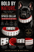 Cargar la imagen en la vista de la galería, The Frenchie White & Red Spiked Leather Dog Collar - Pet Collars & Harnesses from For Animals, With Love
