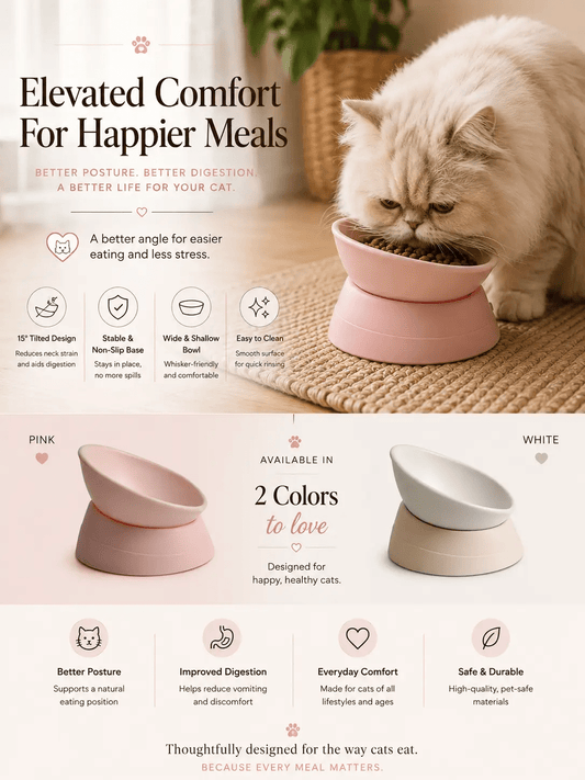 Adjustable Angle Resin Cat Bowl For Flat Faced Cats - from For Animals, With Love
