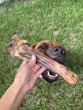 Load image into Gallery viewer, Lamb Shank bone by Naked Beasts, pasture-raised; bone held by hand with dog in grassy yard.
