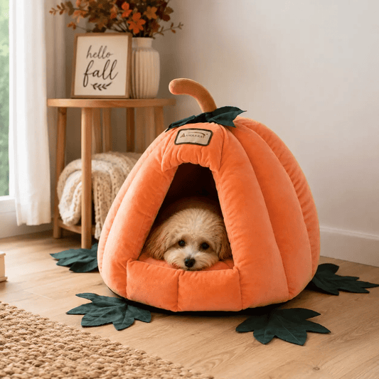 Orange Plush Pumpkin Pet Bed by For Animals, With Love with green leaf accents and a small dog inside.