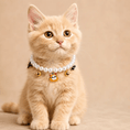 Load image into Gallery viewer, Halloween pet collar with charms on a cute kitten featuring pearls and a pumpkin charm.
