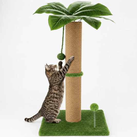 Palm Leaf Sisal Cat Scratching Post, 36 inches, rope column with green palm leaves top and hanging toy as cat reaches.