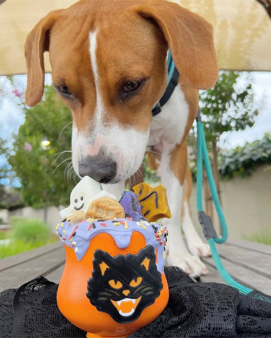 Butterfly Pea Flower Powder (Organic) Naked Beasts; beagle sniffing a purple-frosted orange Halloween cup outdoors.