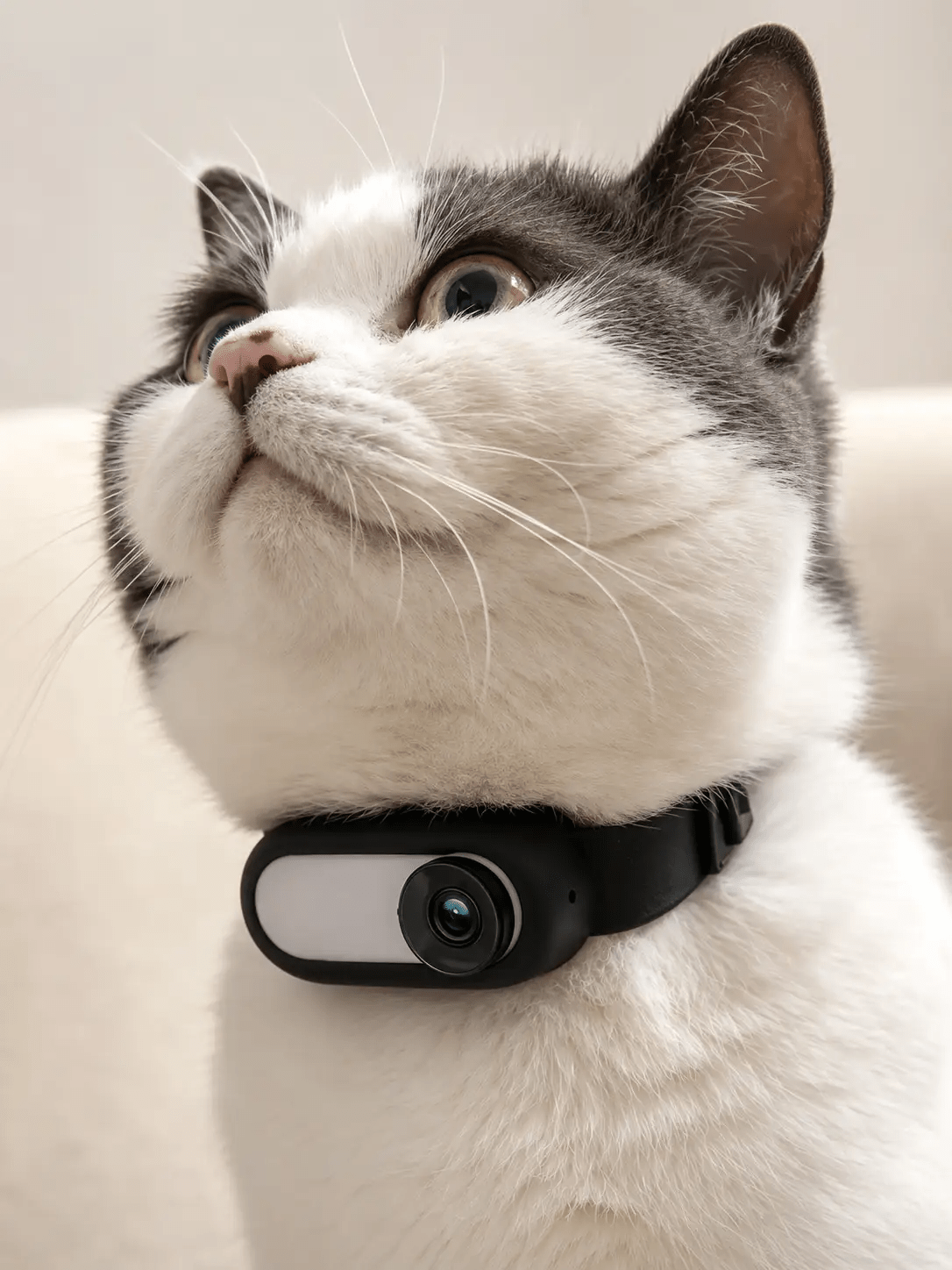 Wireless Pet Collar Camera with Silicone Clip | 1080P