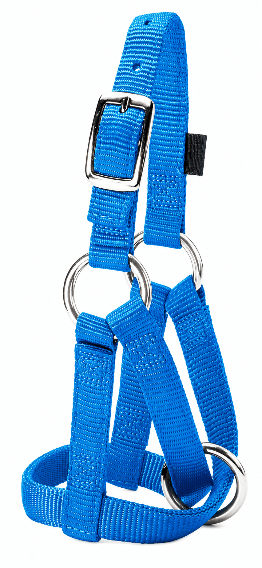 Weaver Hurricane Blue Goat Halter