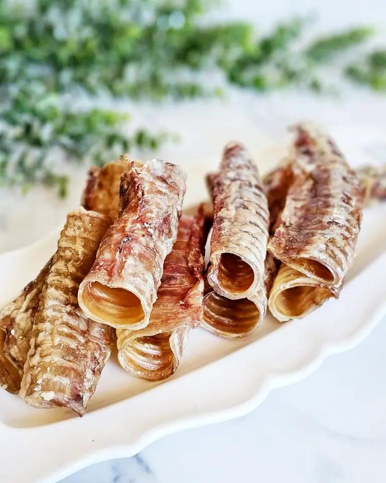 Beef trachea chews on a white plate; rolled, brown and textured sticks