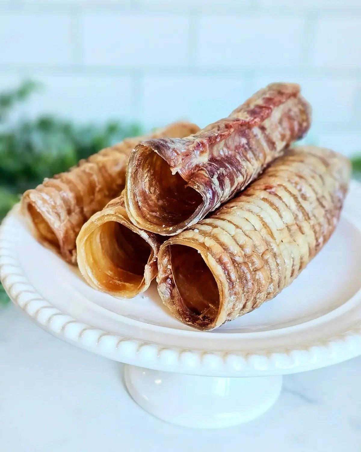 Beef Trachea rolls, grass-fed & finished; 3 brown-tan chews on a white plate